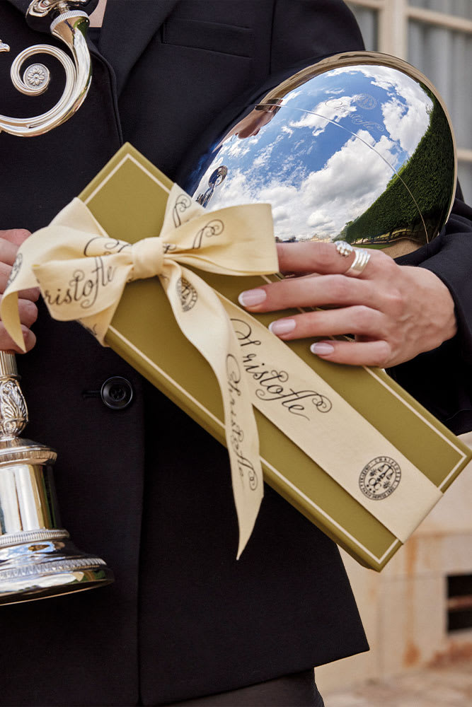 Patte de Lion Collection | Christofle