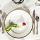 christofle silver-plated dinner fork  4