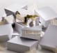 christofle silver-plated sneaker's box 5