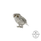 christofle vintage silvered big owl 1
