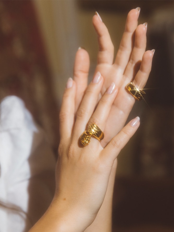 Patte de Lion Rings