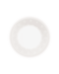 christofle Porcelain Dinner plate Platinum Finish