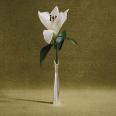 christofle vintage christofle/lifestyle produits/vase-cardinal-vintage2-1000x1000_ya5xpp 0
