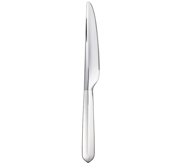 Silver-Plated Dinner Knife Infini Christofle Silver-Plated Dinner Knife Infini Christofle
