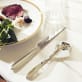 christofle silver-plated steak knife 6