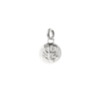 christofle Sterling Silver Medal - Patte de Lion