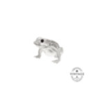 christofle Vintage Silvered Little Frog