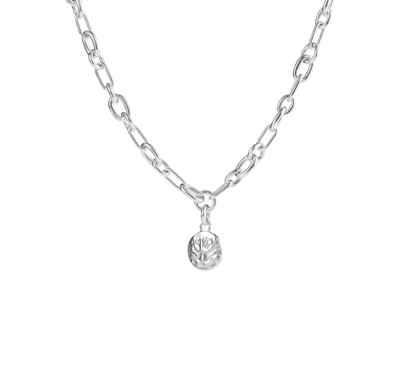 christofle sterling silver medal - patte de lion 8