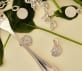 christofle sterling silver medal - patte de lion 13