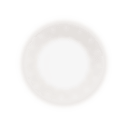 christofle Porcelain Dinner plate Platinum Finish