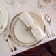 christofle porcelain dessert/luncheon/salad plate platinum finish 3