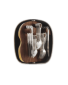 24-Piece Silver-Plated Flatware Set with Shell Carrousel