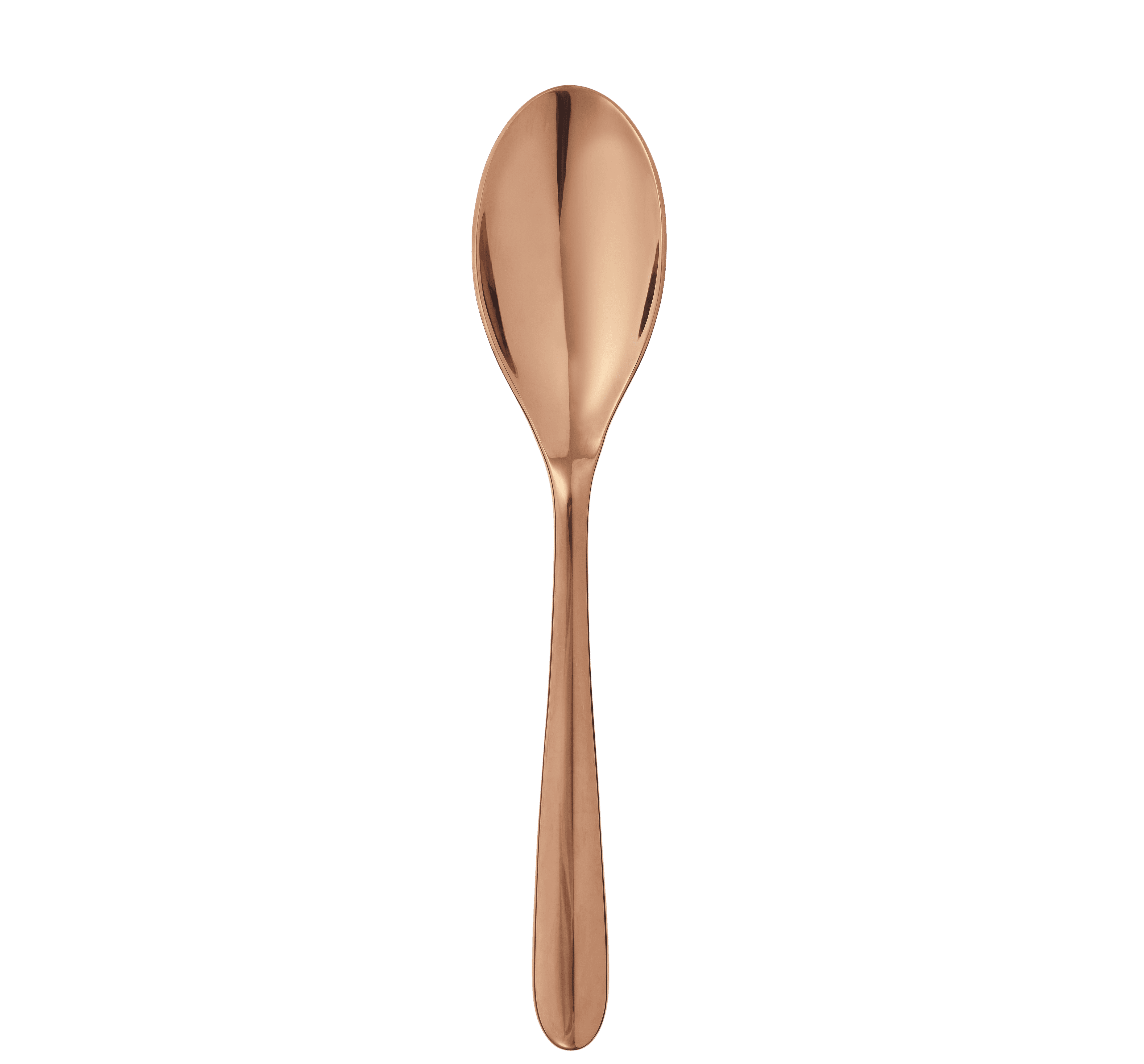 Electroplating a best sale spoon with copper