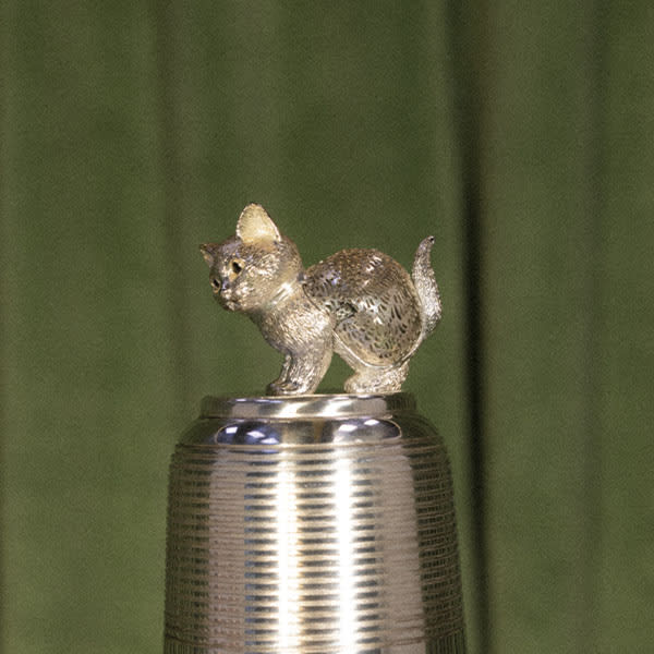 Lumière d'argent