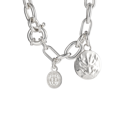 christofle sterling silver medal - patte de lion 0