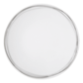 christofle dinner plate vertigo  porcelain 5