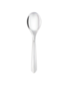 Silver-Plated Large Universal Spoon