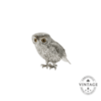christofle vintage silvered big owl 1