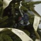 Animations commerciales/2026/HOLIDAY SEASON 2026 - THE GATHERING/CHRISTOFLE_THE_GATHERING_2026_FESTIVE-4_eslwvi