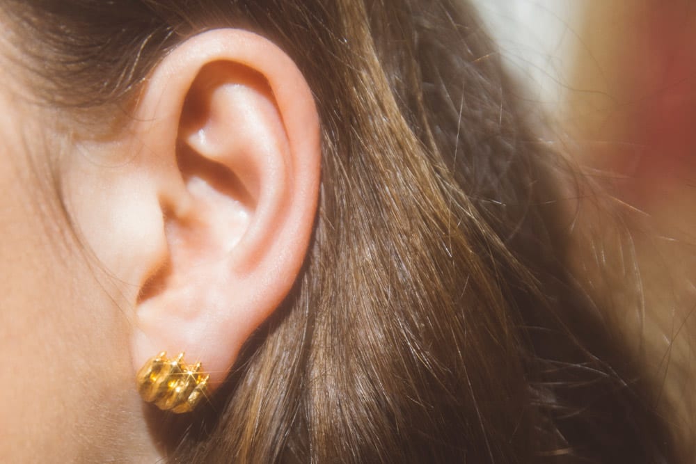 Patte de Lion Earrings