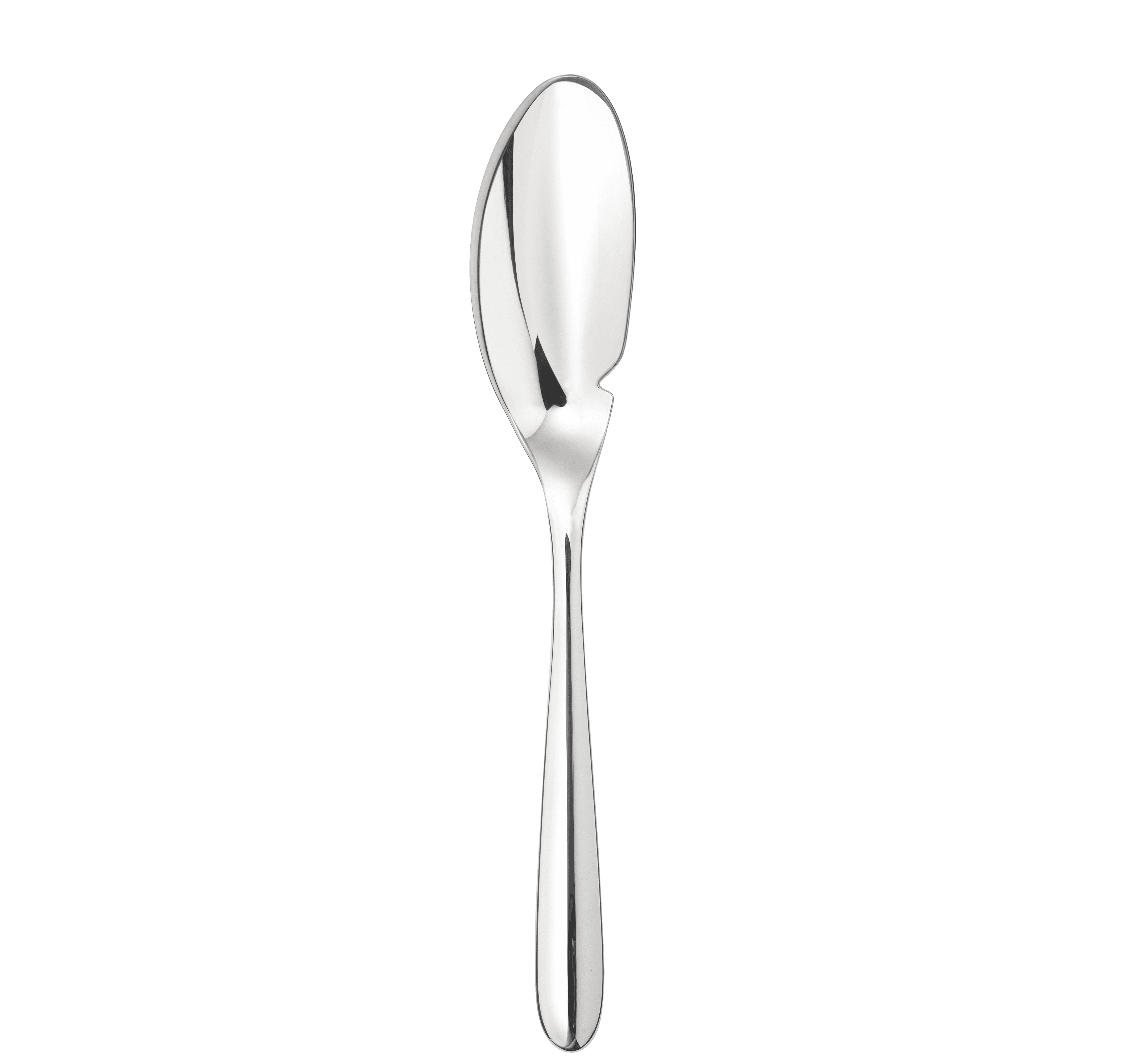 Stainless Steel Fish Knife L'Ame de Christofle
