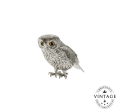 christofle big owl, silverware - vintage 1