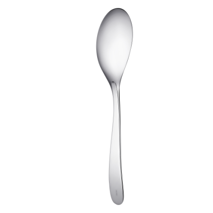 christofle stainless steel serving spoon  2