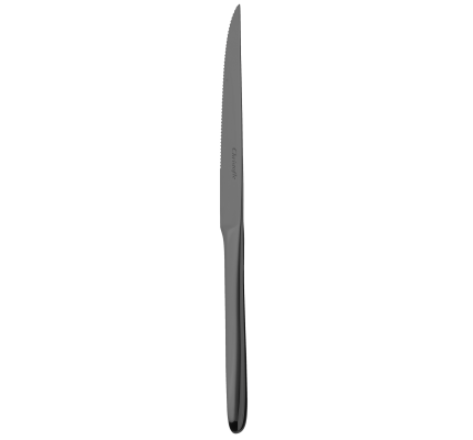 Black Stainless steel steak knife with serrated blade