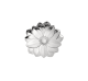 Packshots/L'herbier/B04225186_T_ksn6gl
