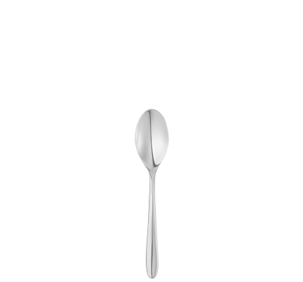 Stainless Steel After Dinner Teaspoon