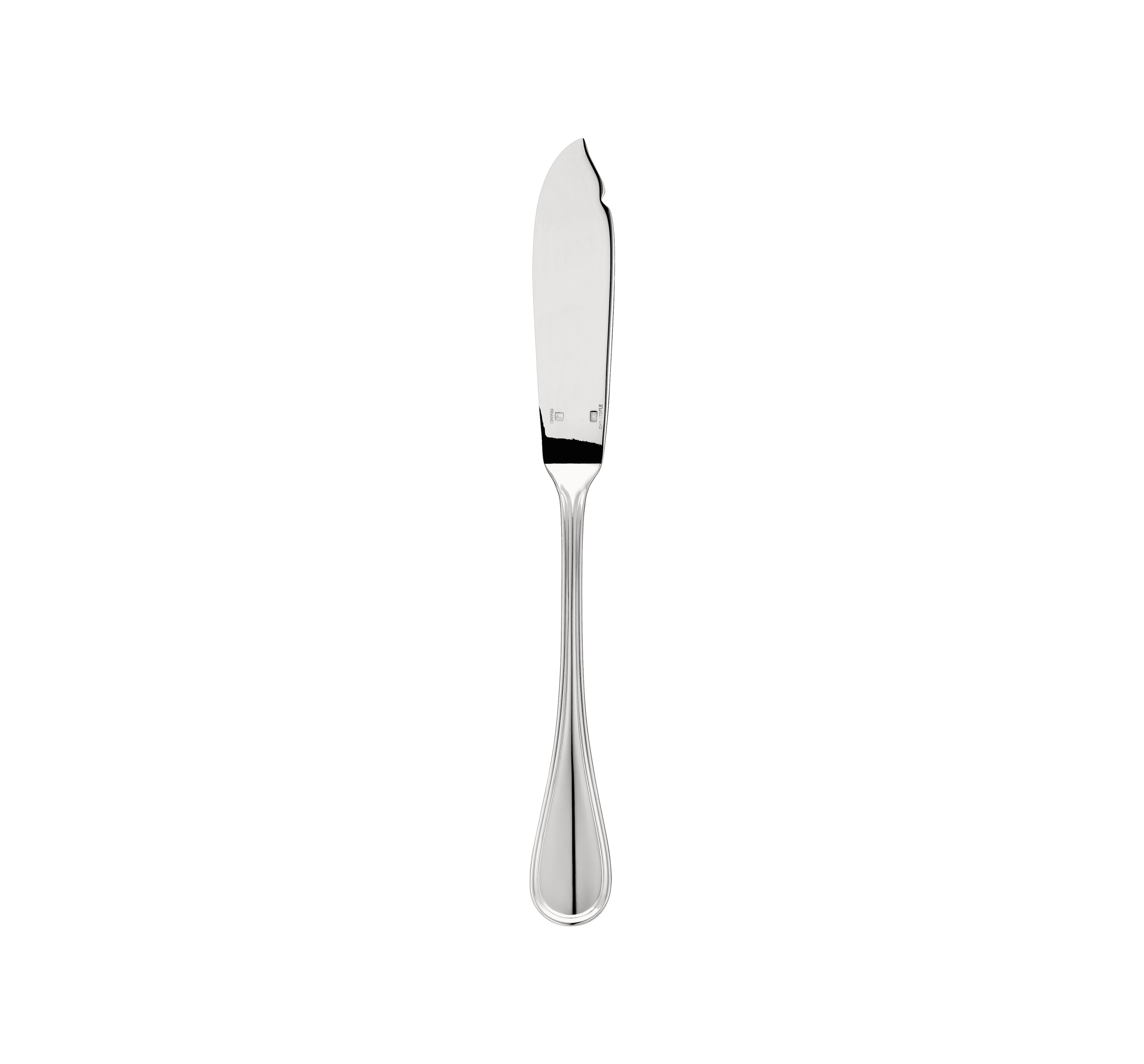 Poisson couteau de verre, Transparent, 6-15cm