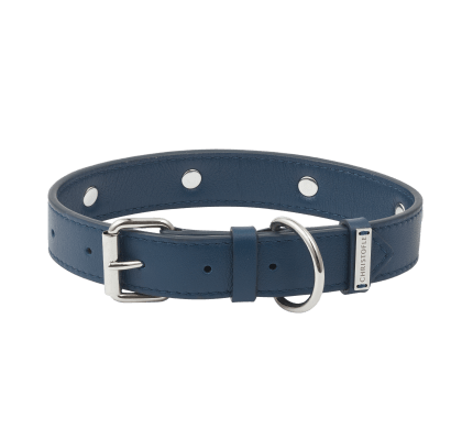 christofle collier en cuir de veau pour chien - taille 2 1