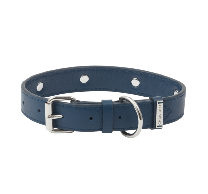 Calf Leather Collar - Size 2
