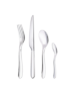 Flatware set for 6 people (24 pieces) Silver-plated