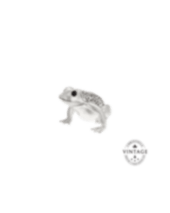 christofle Vintage Silvered Little Frog