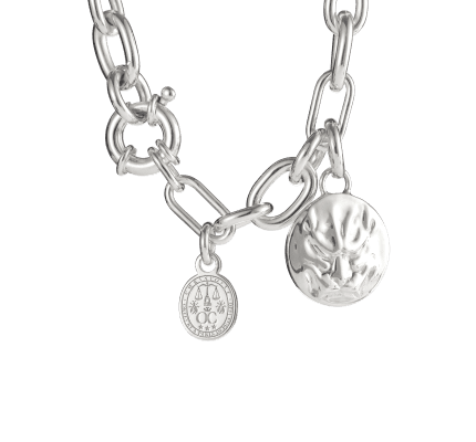 christofle sterling silver medal - patte de lion 0