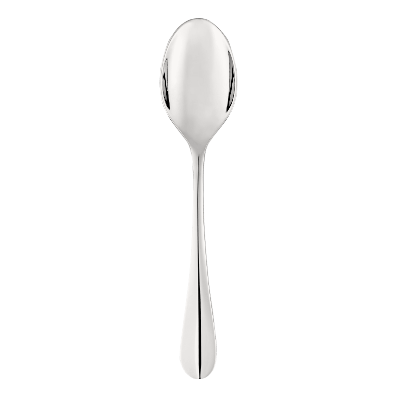 Christofle Origine Stainless Steel Serving Spoon