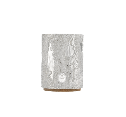 Silver-Plated Vase