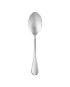 Serving spoon Albi Acier  Stainless steel