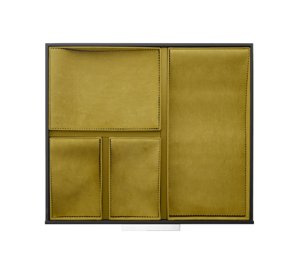 Packshots/Silvercare/NEW STORAGE 2025 - GREEN INSIDE/B00018921_4_SP-1_awjo3x