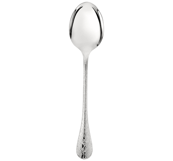 christofle serving spoon jardin d'eden  silver plated 1
