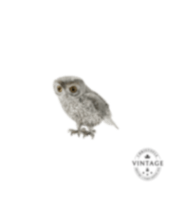 christofle Vintage Silvered Little Owl