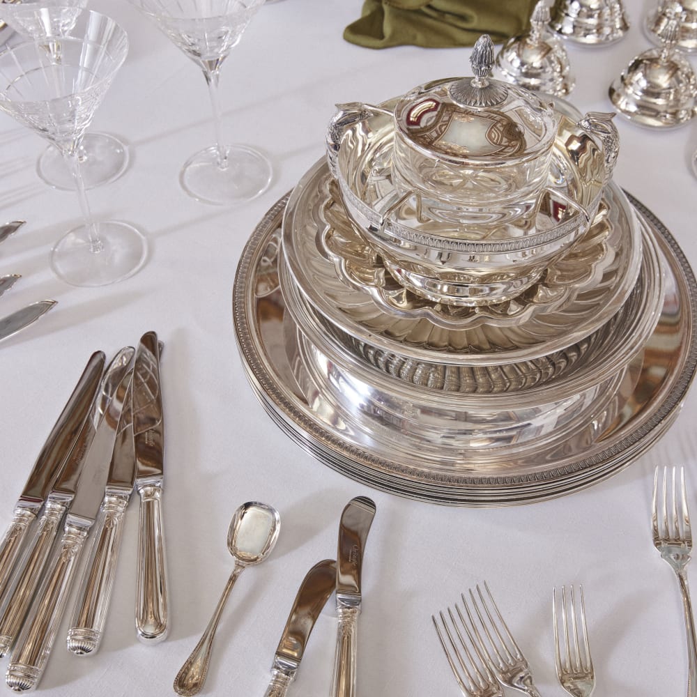 Everything for the care of silverware