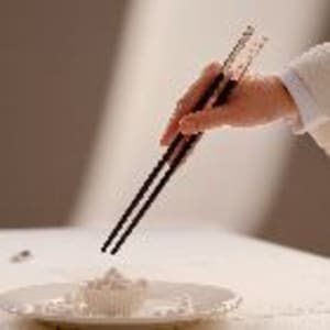 Resin & Silver Chopsticks