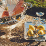 Cocktail dînatoire